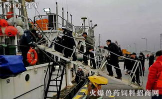 2019開門紅 橫沙國際漁港喜迎年度首艘外輪，助力畜牧漁業(yè)飼料銷售