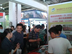 綠葉閃耀第五屆中國湖南畜牧漁業(yè)暨飼料工業(yè)博覽會，助推畜牧漁業(yè)飼料銷售創(chuàng)新升級