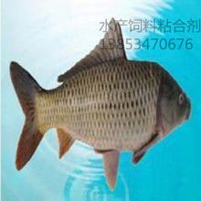 河南省漁業(yè)有限責任公司 多元養(yǎng)殖與專業(yè)飼料供應(yīng)的水產(chǎn)先鋒